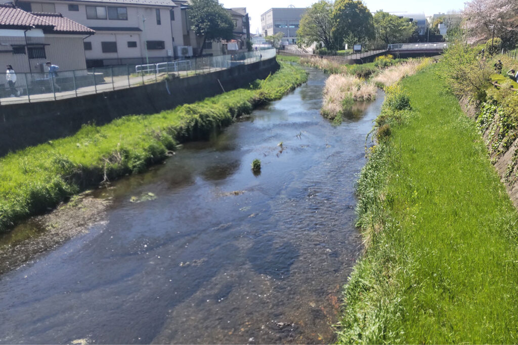 川の風景